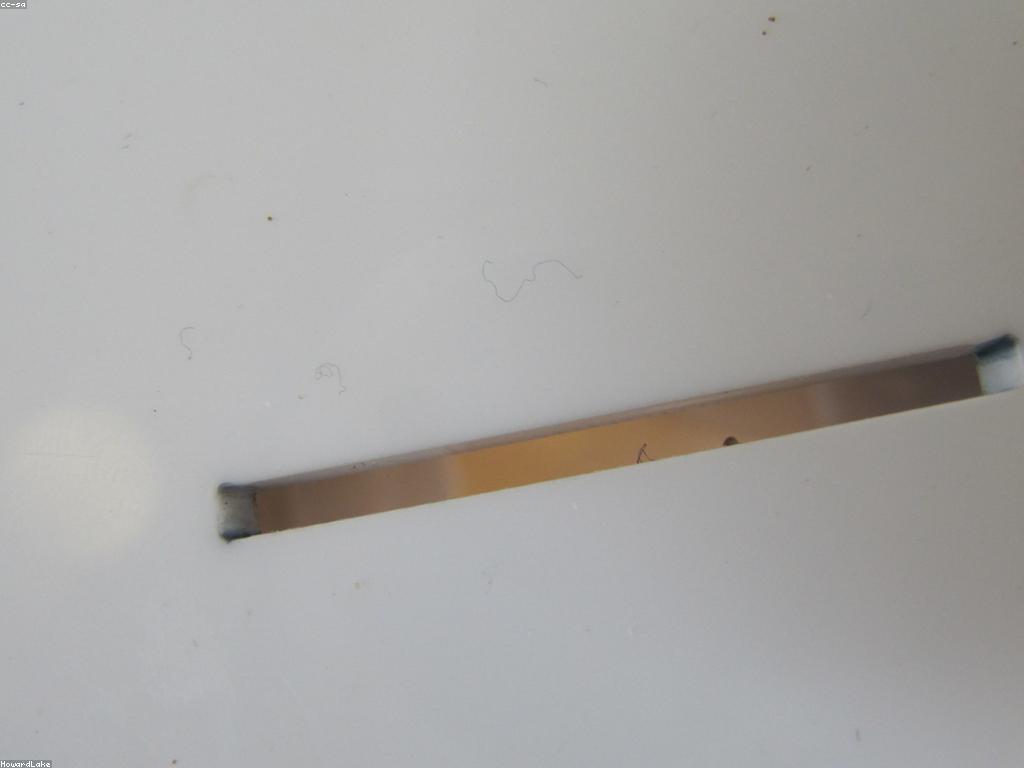 អត្ថប្រយោជន៍នៃសមាជិកភាព Slot នៅក្នុងការលេង